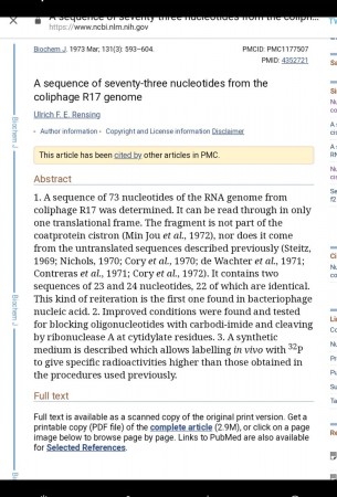 DNA 17.jpg