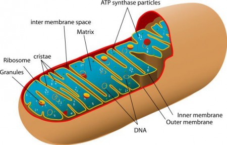 DvuKEaxX4AAp8vH.jpg