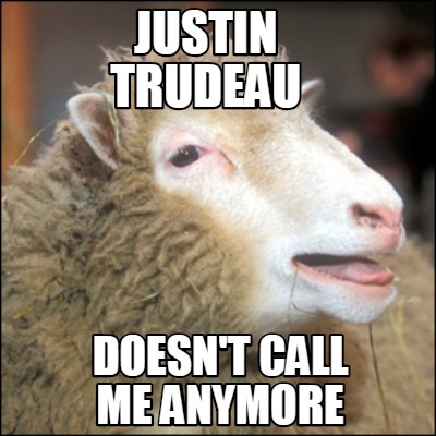 trudeau girl sheep no call.jpg