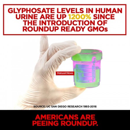 glyphosate.jpg