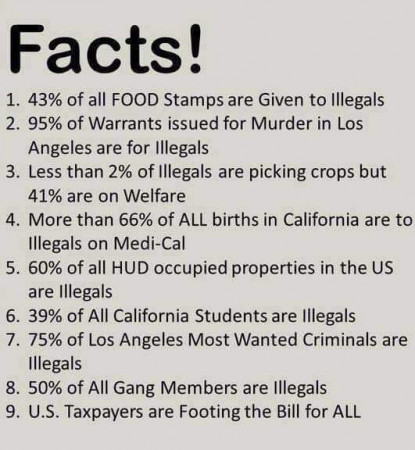 facts stamps.jpg