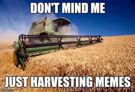 harvest.jpg