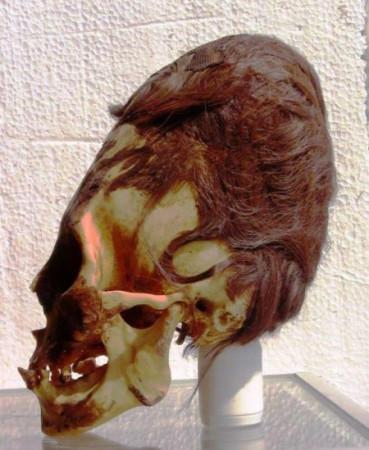 Elongated-Skull-Peru-Red-Hair-450x549.jpg