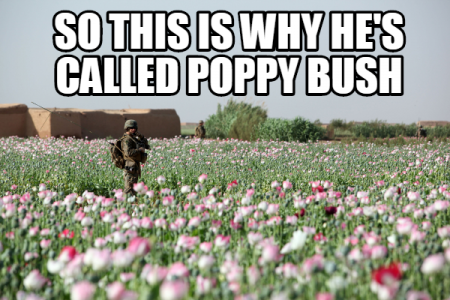 poppy.png