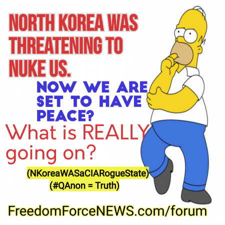NKorea Rogue C1A state.png