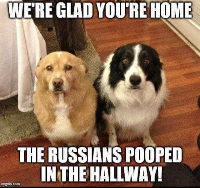 russian-poop-1.jpg