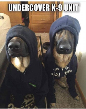 DqjHfEcXcAAC4zj.jpg