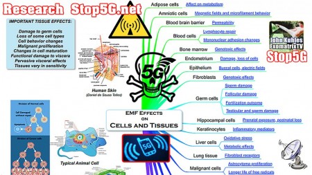 5g.jpg