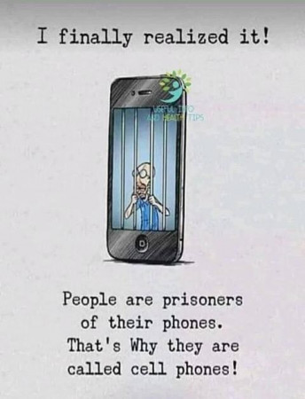 a66f1b7f5c828df6.jpg