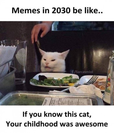 bd2ac8484f403d53.jpeg