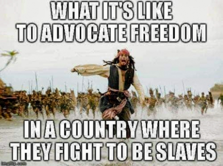 9b3428ea0edb9379.png