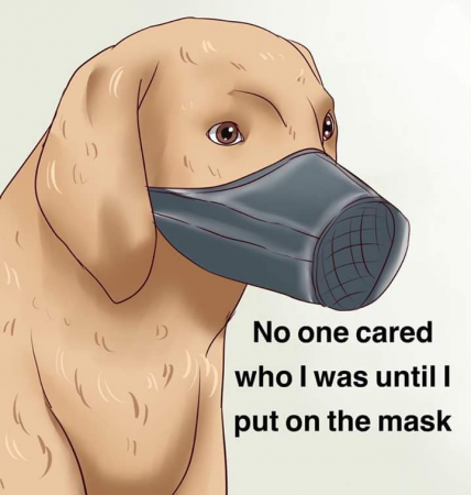 00ca9dd27ed66698.png