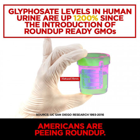 glyphosate.jpg