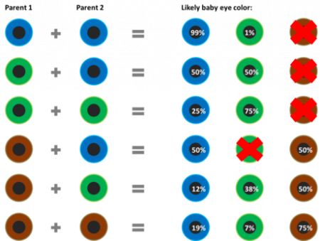 ccae30d179b490e5.png