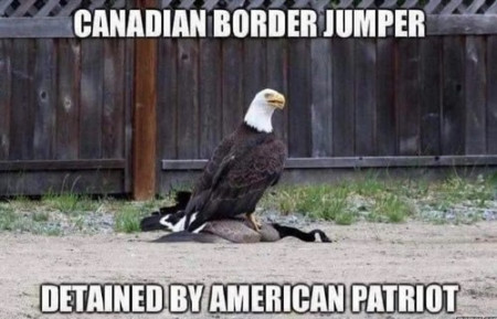 b7a7718e54f944c8.jpg