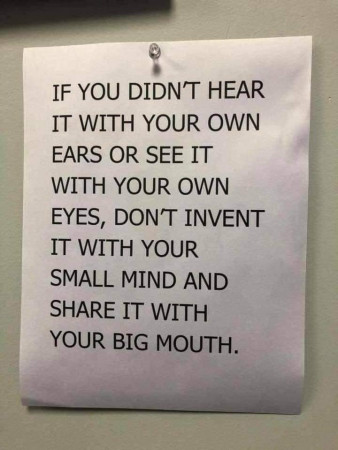 e913d73d69efd4d8.jpeg