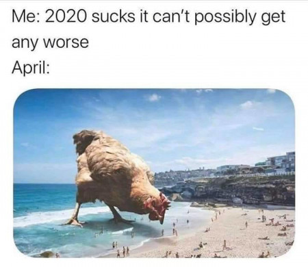 3d80436d0ce8ab0b.jpg