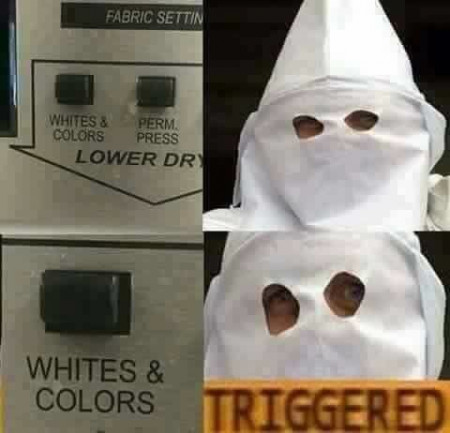 daa365d4642d0019.jpeg