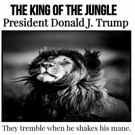 King of the Jungles.png