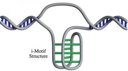 DNA.jpg