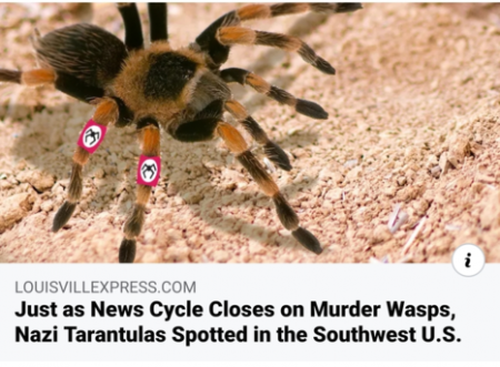 60fd36f4d5897032.png