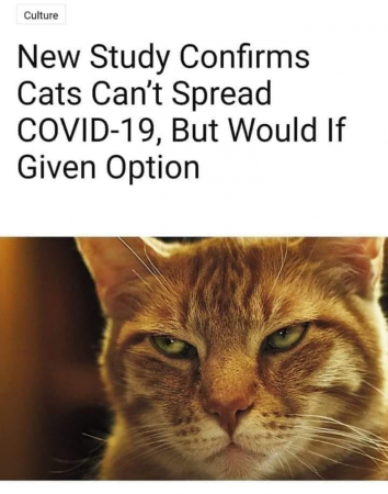 19ddbdf8f13b3456.png