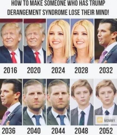 88058354c32e56c9.jpeg