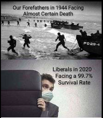 c7e6a14986472bf8.png