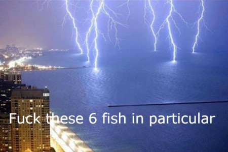 a9297a8015392ce8.jpeg
