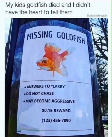 b0a1d6ea2910a28f.jpeg