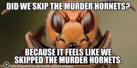 4b35c1cad0a809a0.jpeg