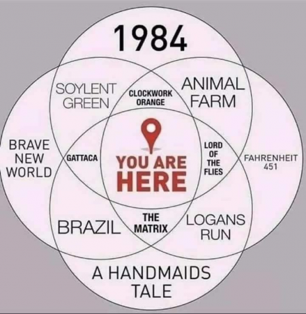 1a53bae91e461cbf.png