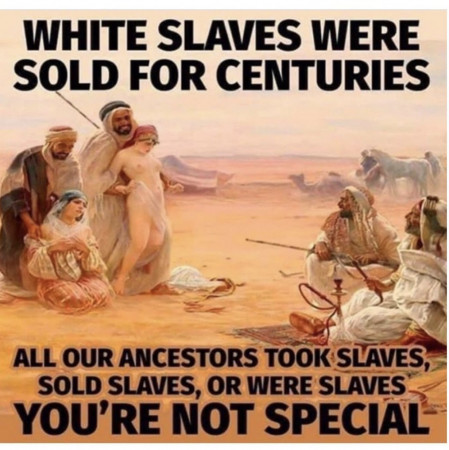 d5b129c51a4495c0.jpeg