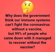 629c1b31b1bec08b.jpg