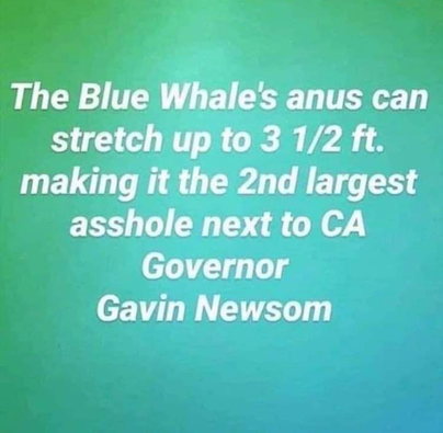 1b70c14cd840c779.png