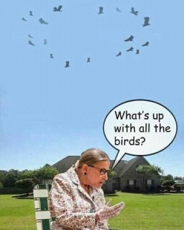 3e94d44947a344ea.jpeg