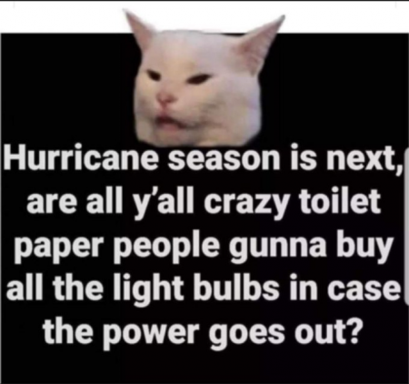 ba34a85b07b3693a.png
