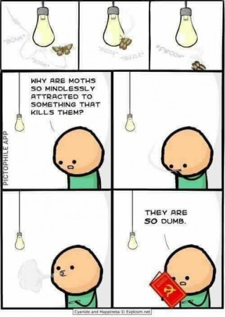 791c3b664e4b3e8a.jpeg