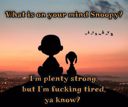 3296c9ed0cdc7c3d.png