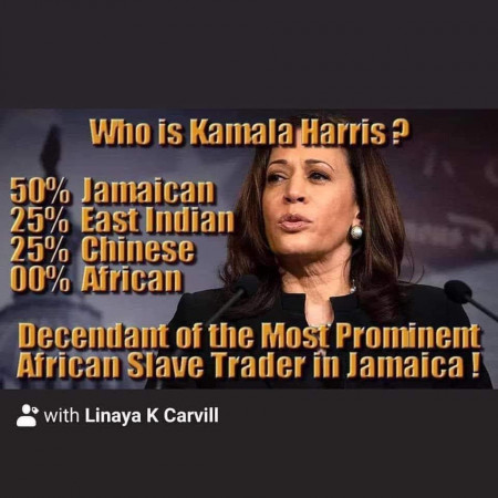 938053691ab5b9e4.jpeg