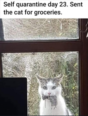 d3e3a38f3f84458f.png
