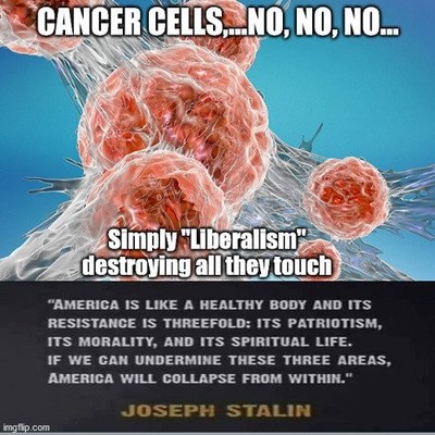 df217301370f42a4.jpeg