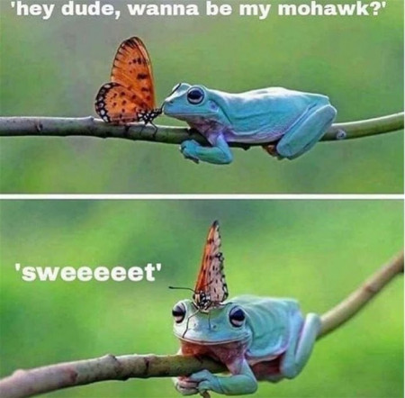 9f1b8f94bc035aae.jpg