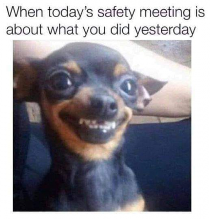 c4316f728e97f59f.png