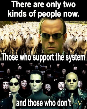 3343810c2e93635d.jpeg