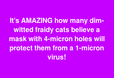 8cee7eb32bc4e646.png