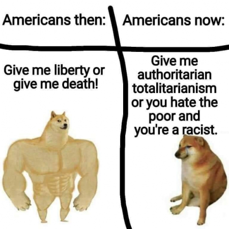 c1d43a3d665bf473.png