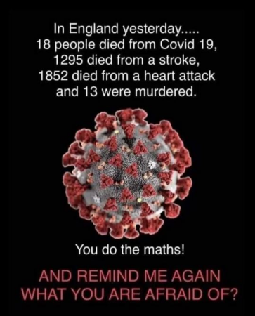 7da1467010383d33.png