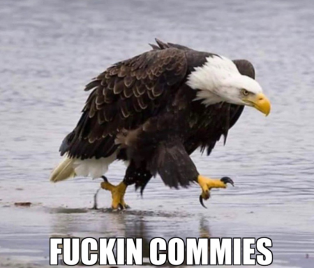 54c2947ecf1ee329.png