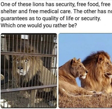 df5bd1250bad68e3.jpeg